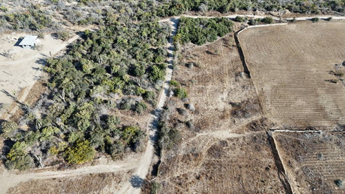 El Palmar, Terreno En Venta En El Pescadero B.c.s.
