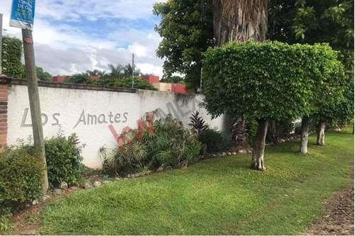 Imagen 17 de 21 de Quietud, Tranquilidad Y Calidad De Vida En Yautepec, Morelos