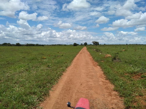 Imagem 12 de 26 de Fazenda 2711 Hectares, Planta 1700 Hectares, 1000 Hectares Em Pasto, Dupla Aptidão, Casas Sede E Caseiro, Topografia Plana - Fa00233 - 70697575