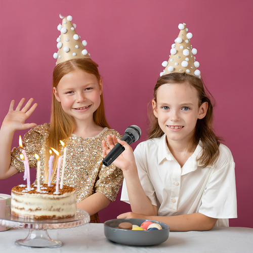 Modelos De Micrófono De Simulación De 2 Piezas Que Los Niños