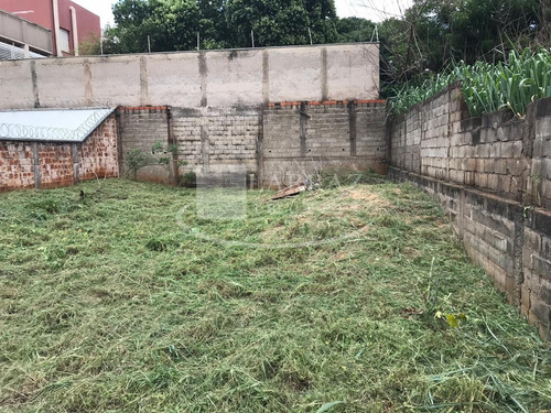 Excelente Terreno Para Venda No Alto Da Boa Vista, Proximo A Fiusa E Caramuru, 600 M2 Medindo 12 X 50 M - Te00186 - 33587074
