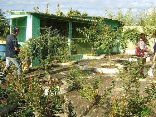 Chácara À Venda, 1000 M² Por R$ 800.000,00 - Rio Abaixo - Atibaia/sp - Ch0262