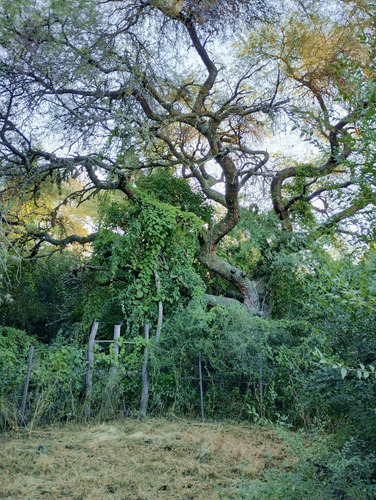 Terreno Con Escritura En Venta En El Tajamar, Las Rabonas, Traslasierra