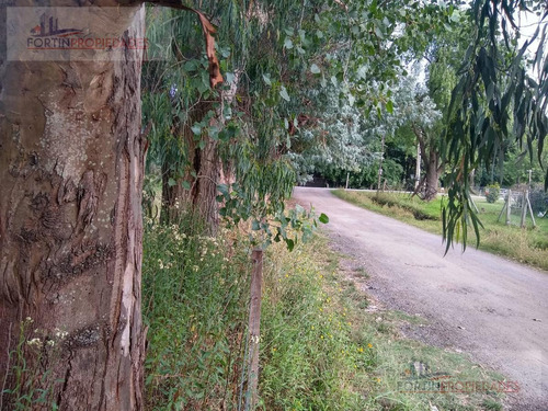 Imagen 4 de 6 de Terreno - Villa Parque Sicardi