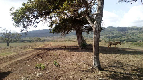 Imagen 3 de 30 de Finca En Mirimire Estado Falcon De 941 Hectáreas