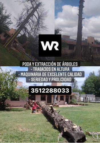 Talado Poda Y Extracción De Árboles