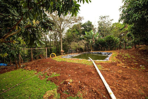 Imagem 15 de 26 de Chácara Com 1 Dormitório À Venda, 425 M² Por R$ 3.000.000,00 - Imóvel Foz Do Iguaçu - Parte I - Foz Do Iguaçu/pr - Ch0032