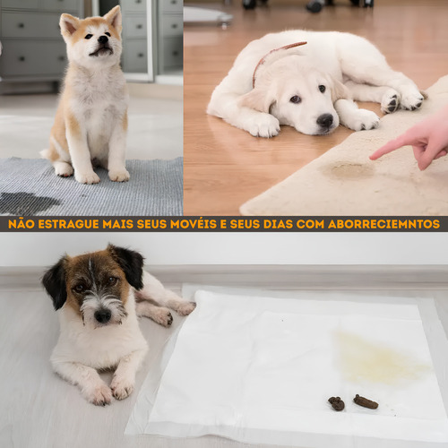 Tapete Higiênico Varipet Pet Fralda Chão Cães Cachorros Sanitário Canino Descartável Tamanho Xl 80 X 80cm 20 Unidades cor Blanco optic