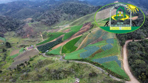 Finca Agrícola Productiva O Ganadera De 40 Hectáreas En El Santuario