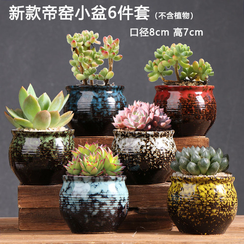 Maceta Para Plantas Suculentas, Creativa, De Cerámica