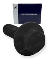 Comprar Tornillo M10x36 Para Magneto Dm125 Dm200 Dm250x Titan Dm250