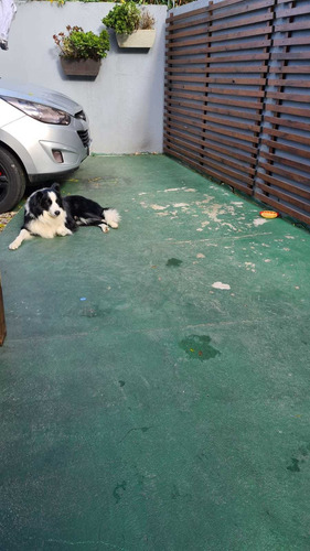 Imagen 6 de 12 de Venta Casa 3 Dormitorios 2 Baños Parrillero Aires Puros
