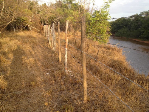 Imagen 4 de 14 de Finca En Venta Vía Sur Con Pista De Aterrizaje