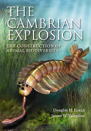 The Cambrian Explosion : The Construction Of Animal Biodive, De Douglas H. Erwin. Editorial Roberts &pany Publishers En Inglés