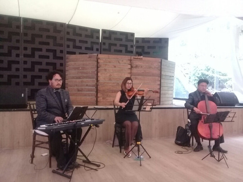 Imagen 1 de 5 de Violines Para Misa Y Eventos Sociales Cuerdas, Piano Y Voz