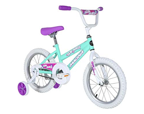 Dynacraft Magna Kids Bike Girls 16 Inch Wheels With Training