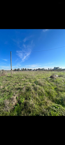 Se Vende Parcela De 5000 Mts2 Camino A Pelarco