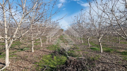 Parcela En Venta En Pirque