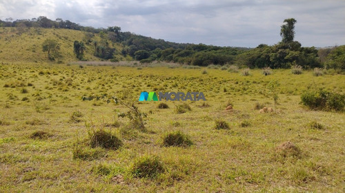 Imagem 4 de 15 de Fazenda - Zona Rural - Ref: 5134 - V-mta5134