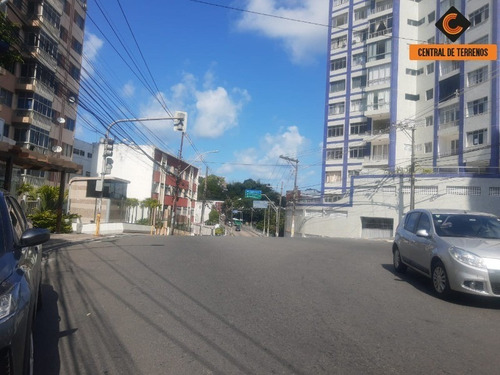 Imagem 4 de 7 de Terreno No Canela - Salvador - Te00478 - 69903278