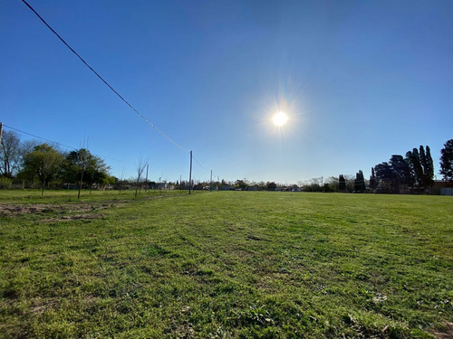 Terreno En Venta En Lobos