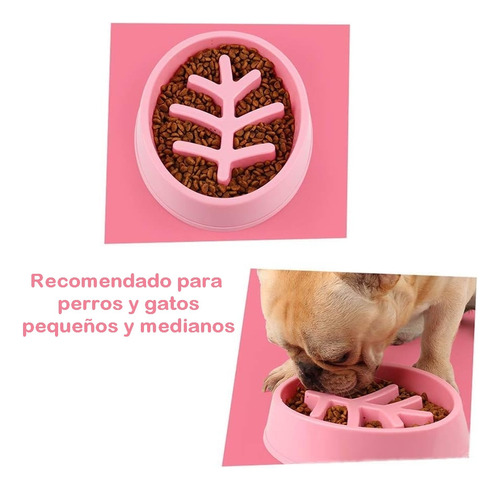 Plato Comedero Perro Gato Diet Come Lento Regula Ansiedad Rosa