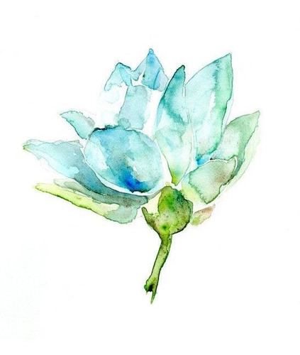 Cuadro 45x45cm Flores Watercolor Acuarela Flower Hermoso M5