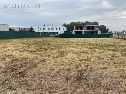 Imagen 4 de 4 de Terreno - Pilara