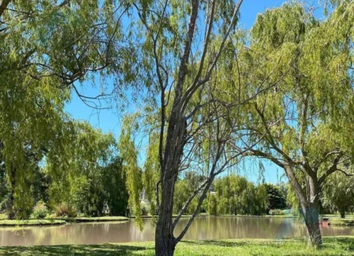 Imagen 3 de 25 de Casa En Venta E Casuarinas Del Pilar