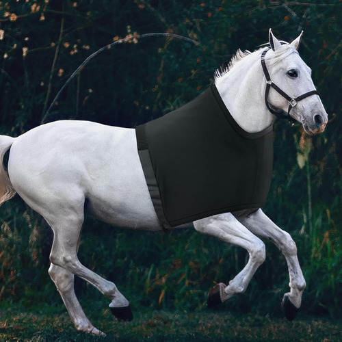 Chaleco Para Caballos Con Protección Para Hombros, Tejido