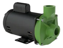 Comprar Motobomba Centrífuga Água Limpa Fsg-s 0,75cv Motor Weg Famac Cor Verde Fase Elétrica Monofásica Frequência 60 110v\u002F220v Monofásica