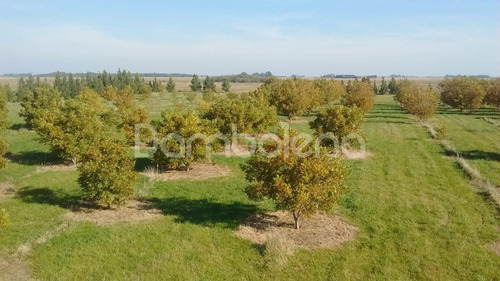 Imagen 19 de 25 de Terreno Campo En Venta Ubicado En Punta Indio, Resto De La Provincia