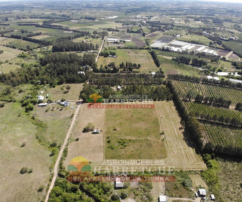 Imagen 7 de 17 de Venta De Chacra Melilla 3 Has Hermoso Paisaje.financia Propietario