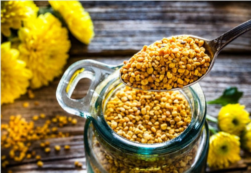 Pólen Apícola Desidratado 500g Orgânico Florada Do Coqueiro.