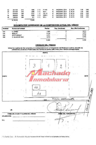 Imagen 9 de 20 de Venta De Chacra En Punta Del Este