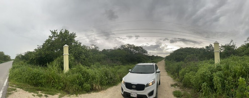 Imagen 1 de 10 de Oportunidad De Venta Terreno De Inversion Yucatan
