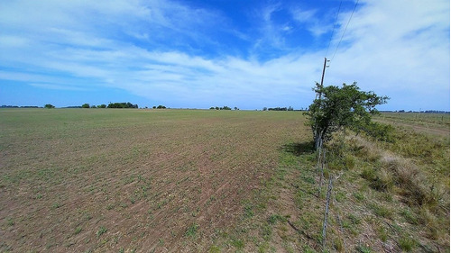 Imagen 20 de 23 de Poblet - 179 Has Con Casco Y Mejoras - Baum Propiedades