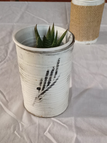 Suculenta Mini Haworthia Coarctata + Maceta Lata De Autor