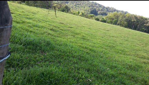 Imagem 4 de 6 de Vende Se Um Terreno Grande Em Iguape Sp