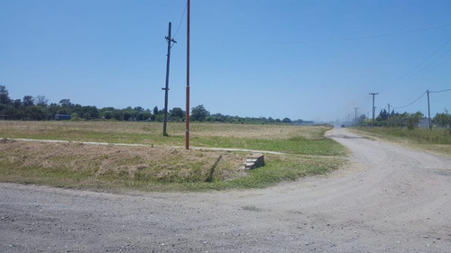 Imagen 2 de 4 de Vendo Terreno Arijon