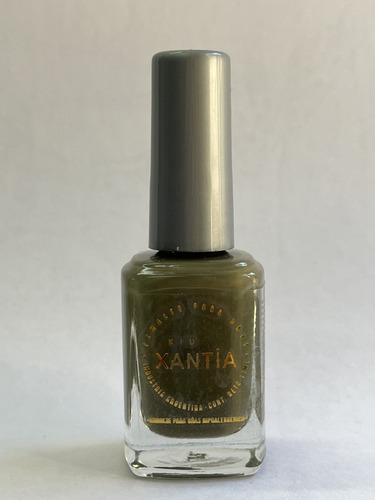 Kit 6 Esmalt Stamping Nailart Xiu Xantia -11ml- A Eleccion!