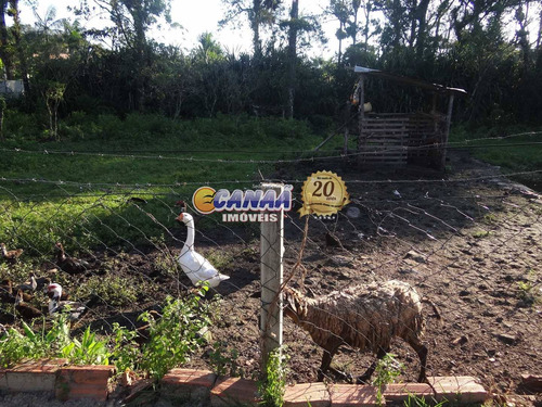 Imagem 27 de 30 de Chácara Com 4 Dorms, Jardim Leonor, Mongaguá - R$ 180 Mil, Cod: 8179 - V8179