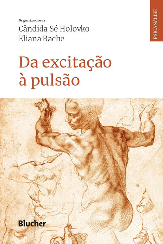 Da Excitação À Pulsão -  Blucher; 1ª Edição