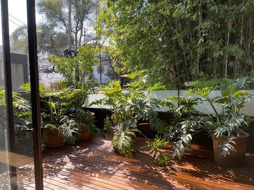 Increíble Garden House En Renta En Polanco
