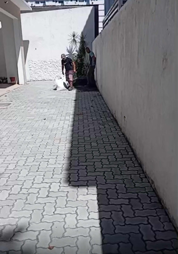 Galpão Comercial Aprox 200m2 Com 2 Banho, Copa, Escritório