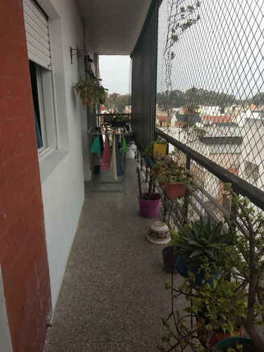 Imagen 11 de 11 de Avellaneda - Departamento 3 Ambientes Impecable