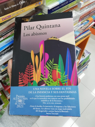 Libro Los Abismos - Pilar Quintana 