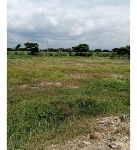 Terreno En Zona Agro Industrial El Recreo. Plt-222