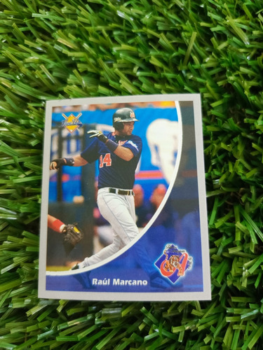 2001 Béisbol Profesional Venezolano Raúl Marcano #41