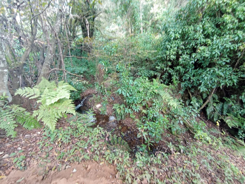 Terreno En Valle De Bravo Casas Viejas